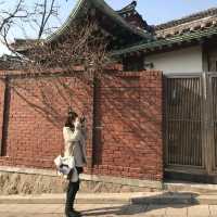 [Voyage21] 한 폭의 그림같은 광화문과 한옥마을 속에 푹 빠져보아요~!