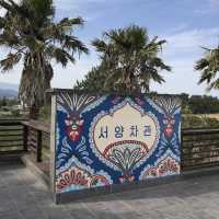 애견동반이 가능한 오션뷰카페 제주 ‘서양차관’