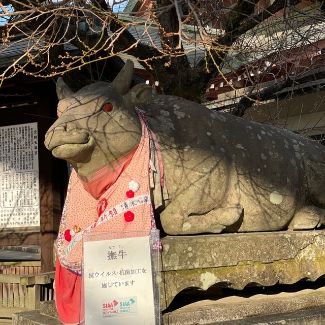 【京都】北野天満宮｜学問の神様🎓✨