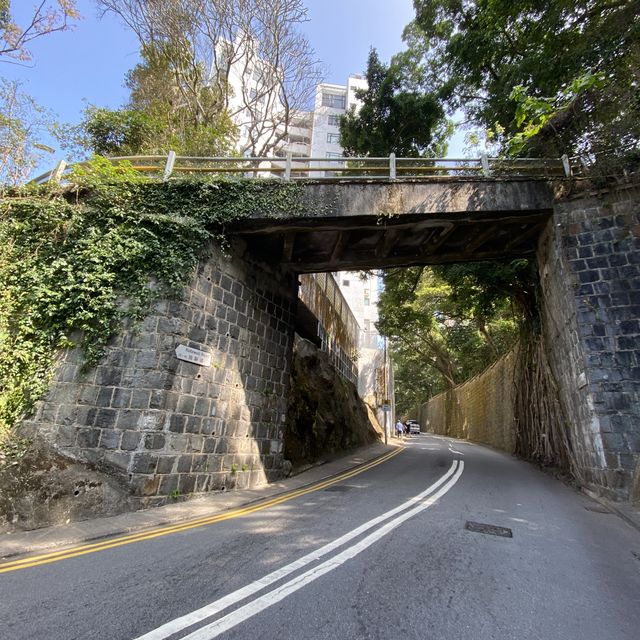 行山：香港大學—龍虎山—西高山—山頂