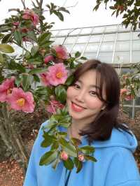 넒은 정원에 포토존이 가득한 곳