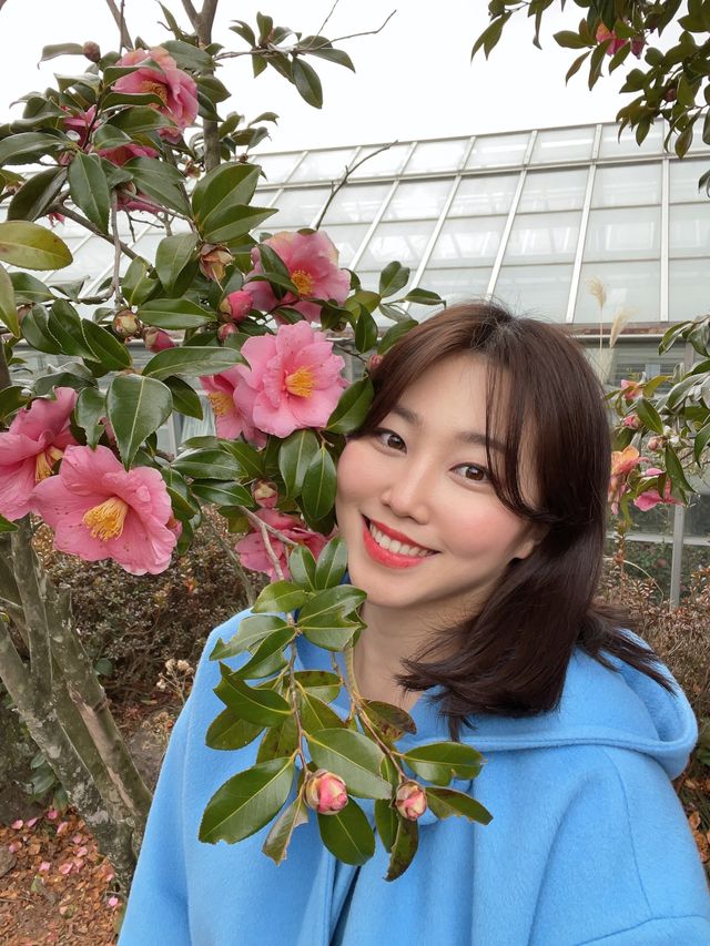 넒은 정원에 포토존이 가득한 곳