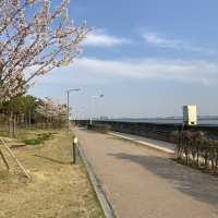 송도 바다 공원 [솔찬공원]
