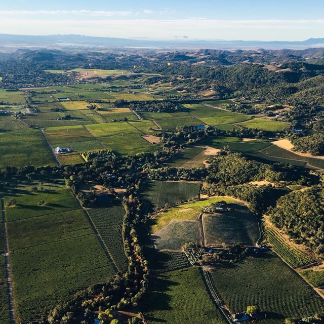 Hot Air Balloon Ride in Napa Valley