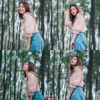 จุดแวะพักถ่ายรูประหว่างทางสุดปัง