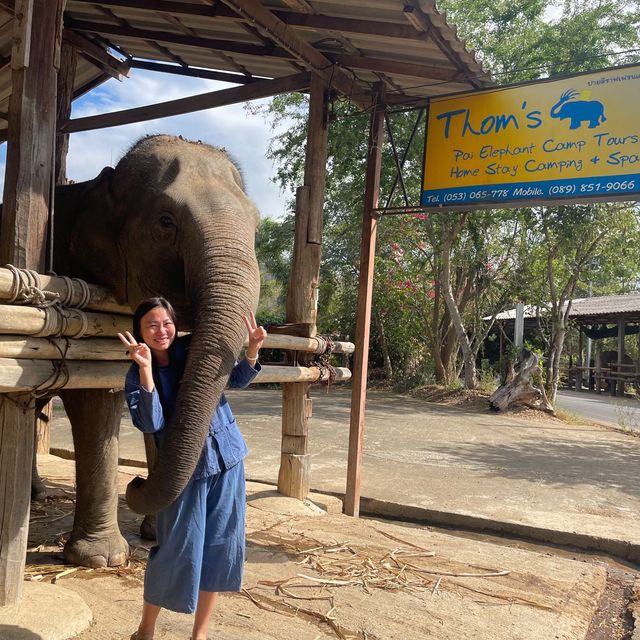 Thom’s Pai Elephant Camp