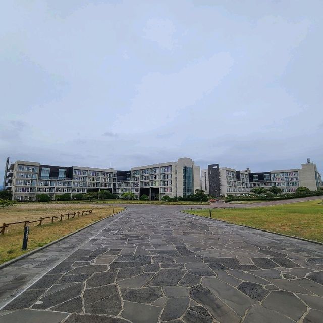 휘닉스 제주 섭지 코지