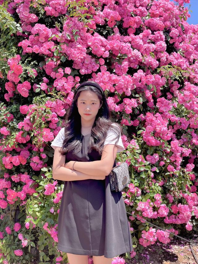 [과천] 과천에 꽁꽁 숨겨둔 아름다운 피크닉 존/풍성한 장미 꽃동산🌹