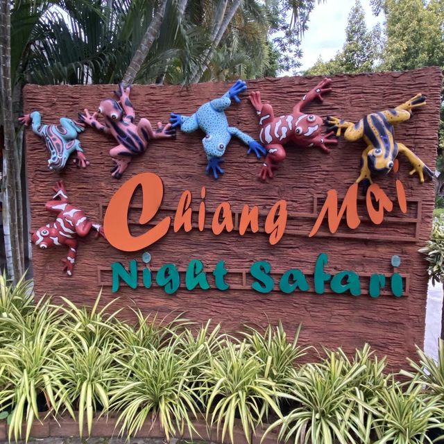 Night Safari in Chiang Mai, Thailand 