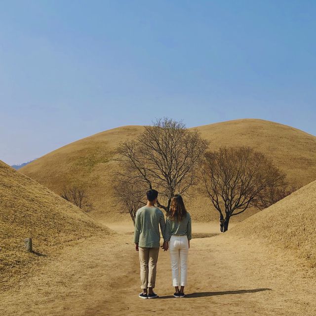 경주 대릉원🌳