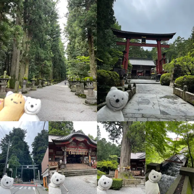 クマ散歩：北口本宮冨士浅間神社に品行方正なクマ出没