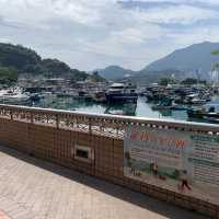 假日遊東龍島