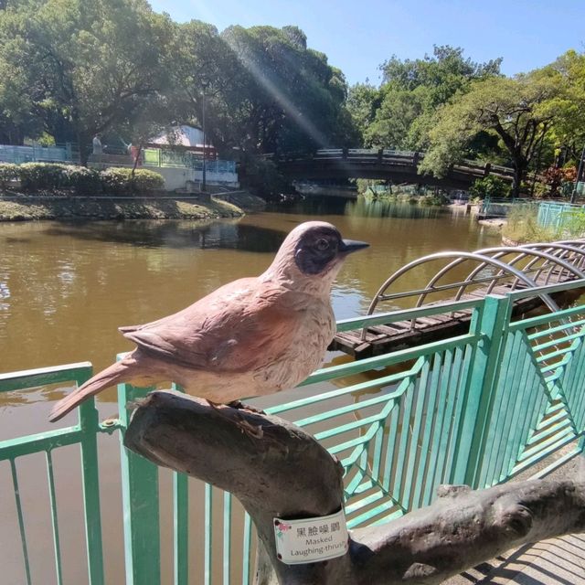 非常有立體感的天后橋🎢