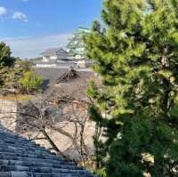 名古屋観光といえば『名古屋城』