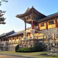 가을 단풍 명소 가을의 정취를 경주 불국사에서 느껴요🍁