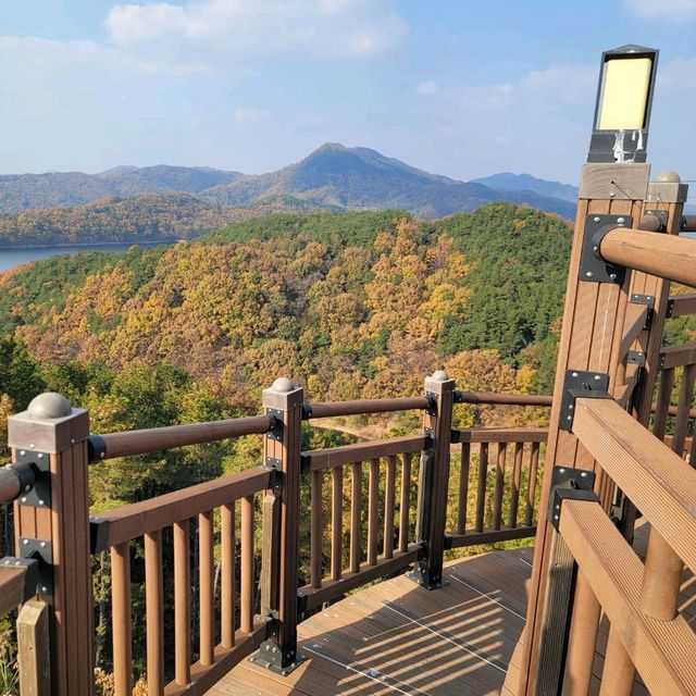 청남대 오각정 길