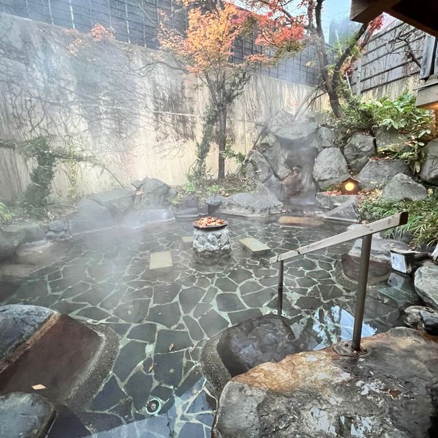 東京近郊清津峽❤️冬日郊遊好去處