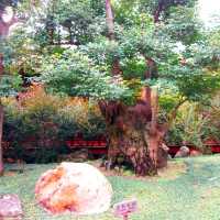 Chi Lin Nunnery and Nan Lian Garden