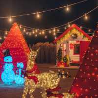 크리스마스 포토존이 한가득인 카페 원주 사진정원🎄🎅🏻