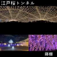 大井競馬場 東京メガイルミ【東京都/品川区】