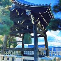【京都】誰が置いたかアヒルさんの花手水🐤
