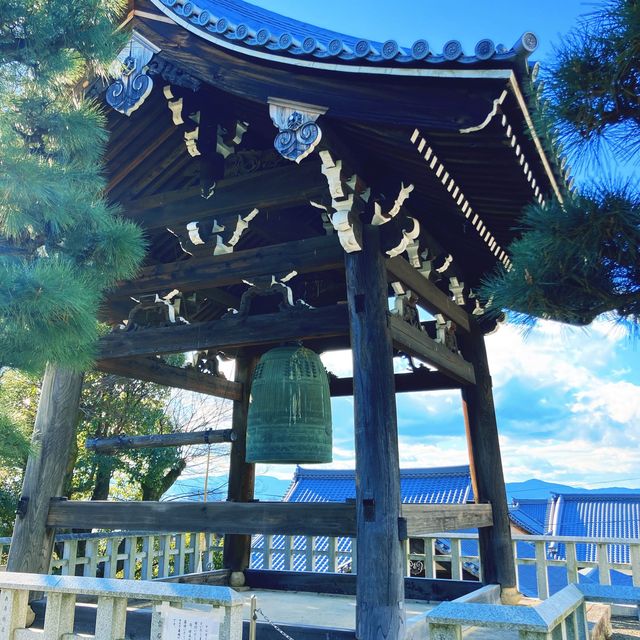 【京都】誰が置いたかアヒルさんの花手水🐤