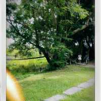 ร้านคาเฟ่ลับๆในป่า บรรยากาศธรรมชาติ