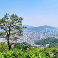 등린이가 가기 좋은 등산코스 '봉산, 앵봉산'