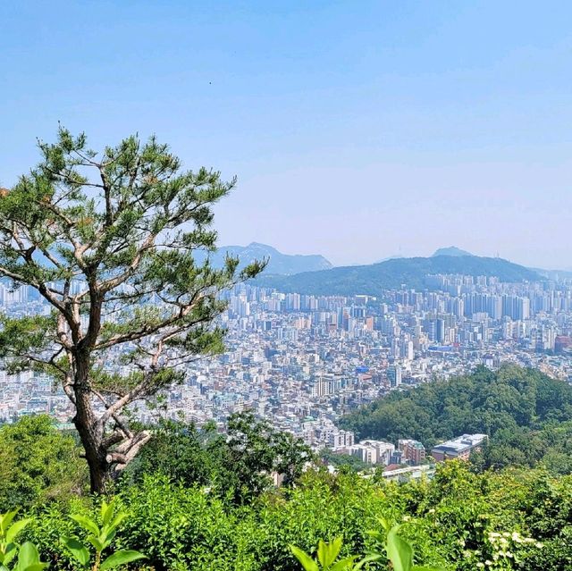 등린이가 가기 좋은 등산코스 '봉산, 앵봉산'