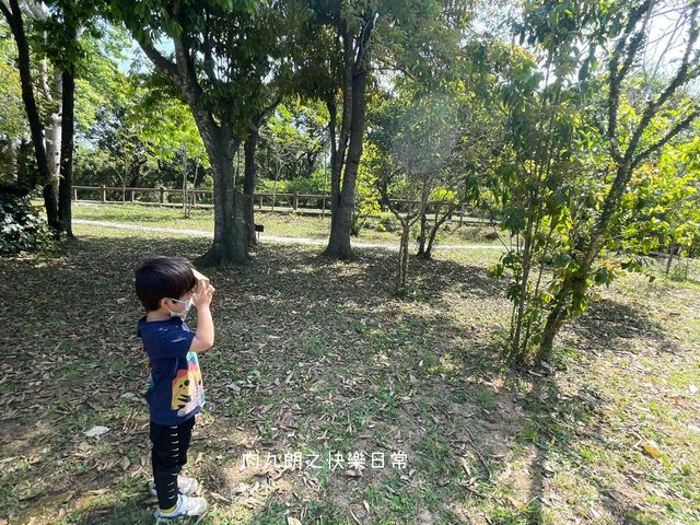 大自然遊樂場 