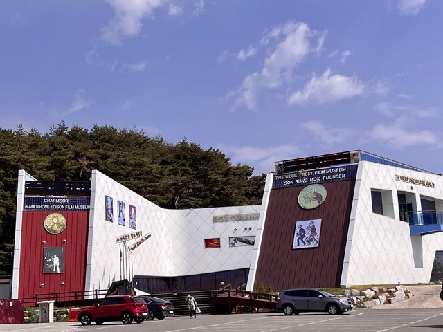 🇰🇷벚꽃길 명소 “경포호수로”