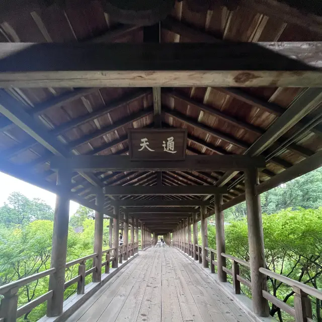 【京都】絵になる絶景！東福寺の通天橋