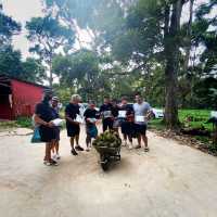 Durian Farm Expedition In Kulai Johor 