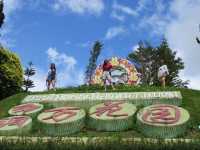 Betong Winter Flower Garden