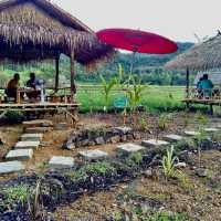 Living land farm 