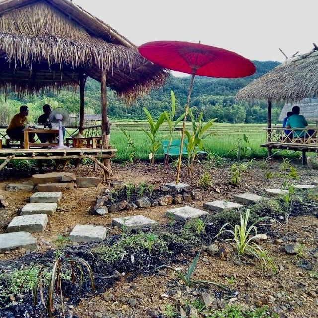 Living land farm 
