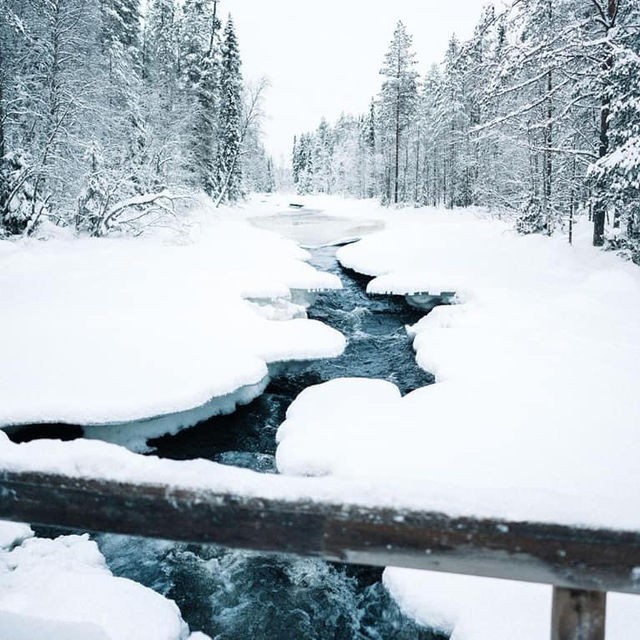 Oulanka National Park, Finland