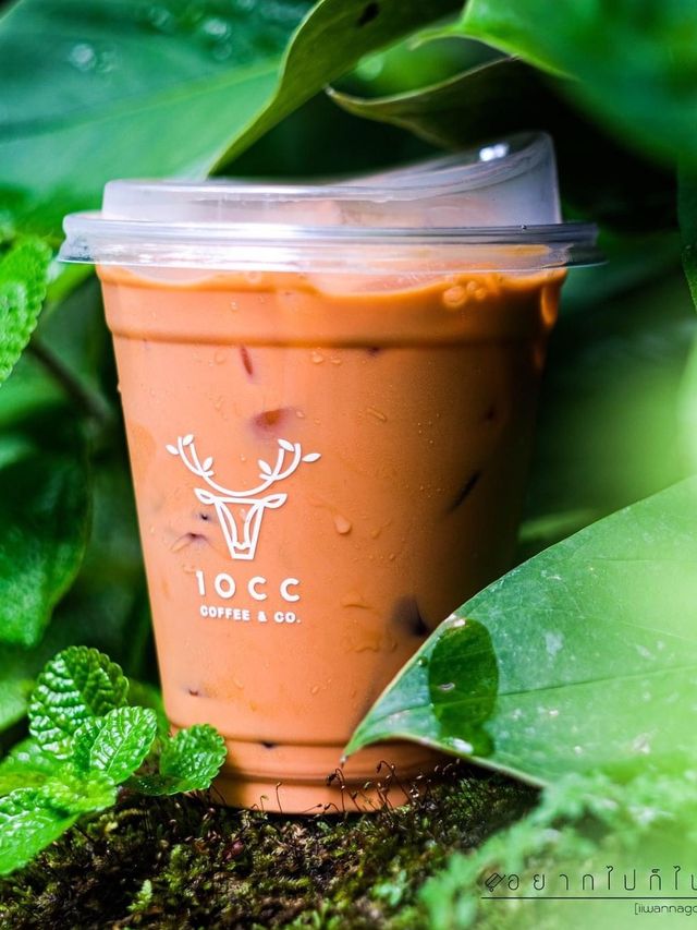 คาเฟ่โอเอซิสกลางเมือง🌿🌳