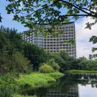 綠意盎然🌳🌿松山文創園區 Songshan Cultural and Creative Park