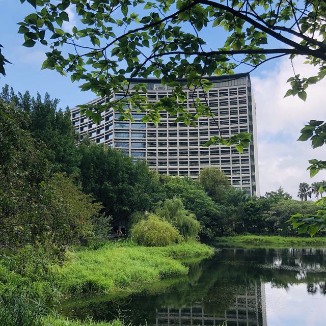 綠意盎然🌳🌿松山文創園區 Songshan Cultural and Creative Park