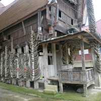 Rantepao - At the heart of Toraja rituals