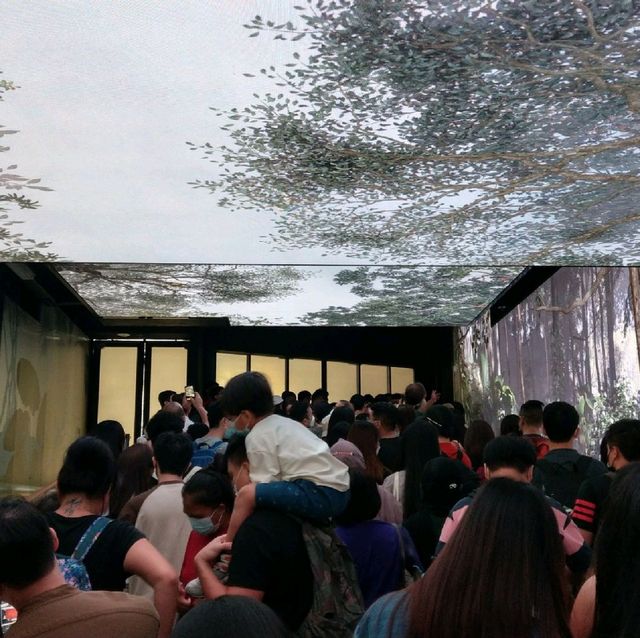 山頂纜車+凌霄閣摩天台428