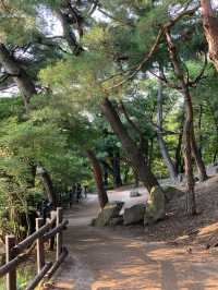 동궁과월지 📍 경주 피크닉 명소