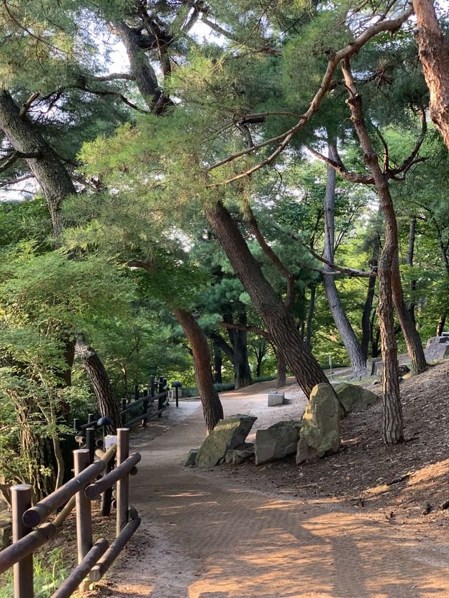 동궁과월지 📍 경주 피크닉 명소