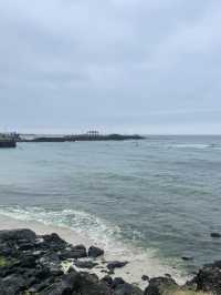 [제주도]제주도 바다보면서 피크닉하기 너무 좋은 함덕 서우봉해변💙