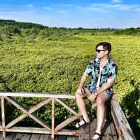 ทุ่งโปรงทอง ระยอง