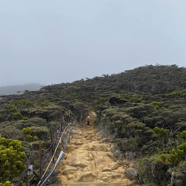 📍 Mt. Kinabalu, Sabah