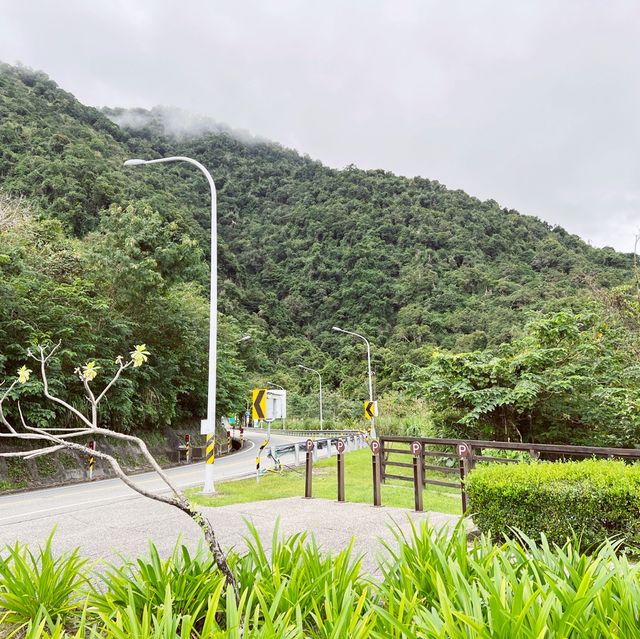 東部公路海岸風景區｜從高處看向一片東海岸的美景