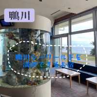 【千葉県:鴨川】鴨川シーワールドを大満喫できるオフィシャルホテル！