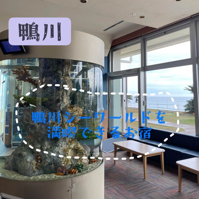 【千葉県:鴨川】鴨川シーワールドを大満喫できるオフィシャルホテル！